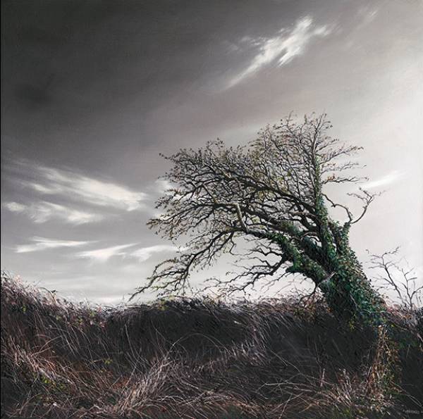 - a , Print by Nicholas Smith, measuring 25 x 25 cm (H x W) framed at 38 x 37 cm £40